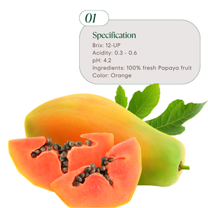 มะละกอมะขามป้อมจากคิมมินห์บรรจุภัณฑ์จำนวนมากจากเวียดนาม - Product Image 2