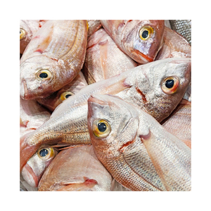 Poisson entier de dorade rouge congelée à vendre des fruits de mer de qualité supérieure parfaits pour griller ou frire - Product Image 1