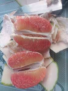 Fournisseur 100% de haute qualité, pamplemousse frais/prix compétitif - Product Image 6