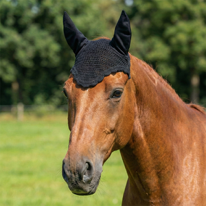 Black Crochet Horse Fly Veil Gold Rhinestone Trim Soft Padded Comfortable Fitted Elegant Equestrian <b>Bonnet</b> Sizes /Cob/Full - Product Image 2