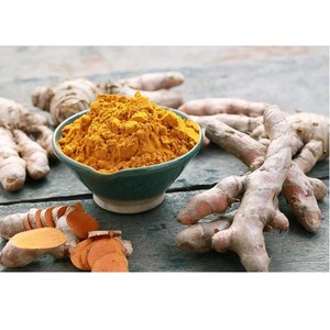 Poudre d'épices fraîches brutes à haute teneur en curcumine, pure et naturelle, 25 KG en sac poly, provenant de fermes durables du monde entier, exportée d'Inde - Product Image 1