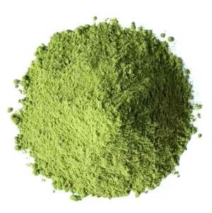 Pure <b>Indigo</b> Leaf <b>Powder</b> | Natural Herbal Hair Dye | Bulk Exporter from India - Product Image 1
