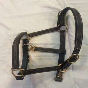 Équitation licou de cheval en cuir souple rembourré sans Stress avec coutures contrastantes fantaisie licou en cuir cousu fantaisie - Product Image 5