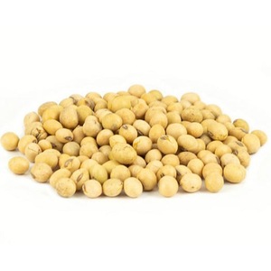 เมล็ดถั่วเหลืองสีเหลืองคุณภาพสูง พรีเมียม ธรรมชาติ และไม่ใช่พืช GMO - Product Image 4