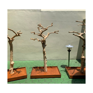 PERCA DE PÁJARO DE MADERA DE CAFÉ DE ALTA CALIDAD DEL PROVEEDOR VIETNAMIGO MÁS VENTA/Sra. Thi - Product Image 5