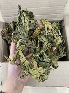 Hojas de Papaya Secas de Vietnam, Carica Papaya para Procesamiento de Té, Venta al por Mayor Directa de Fábrica, OEM y Empaque a Granel - Product Image 5