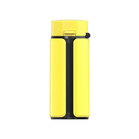 Briquet électronique portable rechargeable par USB, design coupe-vent pour une utilisation durable