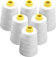 Usine chinoise personnalisée 104 206 12S/4 12S/6 20S/7 petits 150g 200g 1kg 5kg sacs en fil de polyéthylène couture en gros-PET
