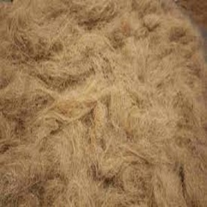 Fibre de noix de coco naturelle de haute qualité pour matelas brosses cordes tapis de culture paillis fibre de coco vente en gros de l'Inde - Product Image 4