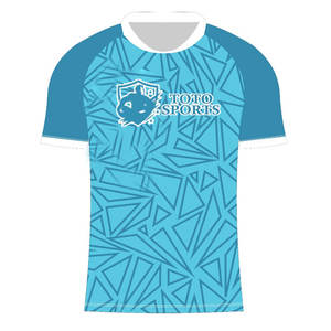 Camiseta Deportiva de Cricket con Logotipo Personalizado, Precio Razonable, Cómoda y Ligera, de Alta Calidad, del Mejor Proveedor al por Mayor - Product Image 1