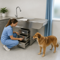 Table de traitement vétérinaire en acier inoxydable avec évier, robinet, tiroirs, armoire et filtre de drainage pour clinique vétérinaire et hôpital animalier