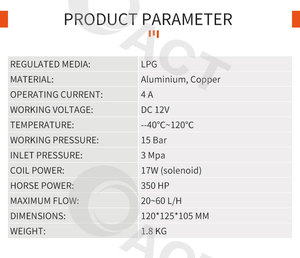 ACT <strong>LPG</strong> Reducer Auto Gpl Equipo De Gas Para Gas At13 High Pressure Reductor With Solenoid <strong>Valve</strong> - Product Image 5