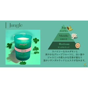 เทียนหอมบำรุงตัวเอง JBPQ กลิ่นจังเกิ้ล อโรมาเธอราพี ทำจากไขถั่วเหลือง - Product Image 3