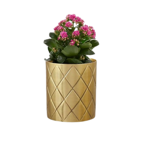 Pot de fleurs en métal de taille personnalisée fini or Hôtels et restaurants design attrayant Décoration intérieure et intérieur - Product Image 1