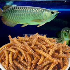 פינוק לחיות מחמד תולעי לחם יבשים בטוח וטעים כלבים וחתולים הסיטונאי - Product Image 4