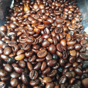 DHPone CF01 100% <b>Robusta</b> AA Grade Bold Roasted <b>Coffee</b> <b>Beans</b> From Gia Lai Vietnam 500g Zip Bag - Product Image 4