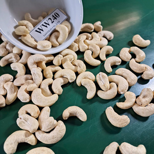 ซานติโก WW240เม็ดมะม่วงหิมพานต์ W240เม็ดมะม่วงหิมพานต์ - Product Image 1