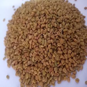 Graines de fenugrec naturelles RGPL Radiance Global, pureté 99%, origine Tamil Nadu, durée de conservation 1 an, modèle 02, pour assaisonnement culinaire - Product Image 5