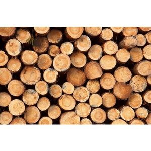 Leña dividida seca al horno de alta calidad en bolsas y paletas de leña de roble a la venta - Product Image 6