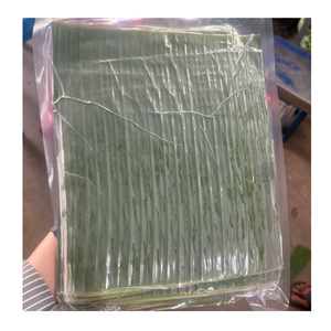 Hoja de plátano congelada de Vietnam Hoja de plátano congelada de color verde fresco Ideal para envolver Arroz pegajoso y postres - Product Image 6