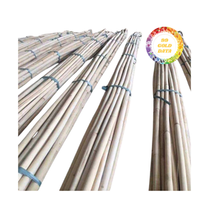 Bastón de ratán bien secado para aplicaciones de tejido profesional, lo que garantiza un acabado suave y un fácil manejo durante la producción - Product Image 3