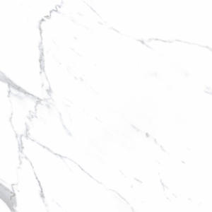 Evergreen Modèle Surface spéciale planche de bois gres porcelanto pour salle de séminaire. - Product Image 4