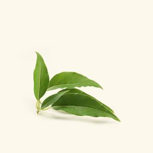 Huile essentielle de camphre pour les cheveux, pour les soins et l'amélioration des cheveux - Product Image 1