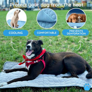 Luxury Portable Pet Cooling <b>Mat</b> Summer-Oxford Material with Removable Cover Soft and Safe Bed for <b>Cats</b> Dogs Travel-Friendly - Product Image 2