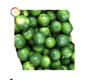 Limón Verde Natural Fresco Sin Semillas, Cítrico Verde de Vietnam, Suministro Global de Limón Verde Sin Semillas - Product Image 4