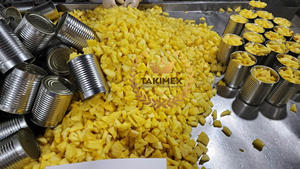 แพ็กเกจ OEM ยี่ห้อ Takimex สับปะรดกระป๋อง/ชิ้นในน้ำเชื่อมเบา (14-17% บริกซ์) จากเวียดนามคุณภาพดีมาก - Product Image 2