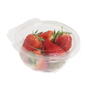 Cupcake-Container zum Mitnehmen Kunststoff-Lebensmittelbox durchsichtige PET-Lebensmittelverpackung