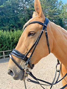 Brida de cuero Horse Weymouth con correa de cristal para cejas, riendas de cuero dobles, todas las tallas - Product Image 3