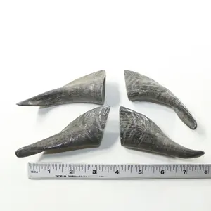 Pares de cuerno de cabra negro decorativo hecho a mano, estilo náutico pulido y tallado, tamaño personalizado para lupa con mango - Product Image 4