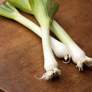 ผักต้นหอม: ก้านหรือก้าน Allium ampeloprasum คุณภาพดีเยี่ยมจากผู้จำหน่ายจำนวนมาก - Product Image 3