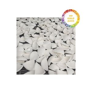 Viande de noix de coco fraîche congelée, segments blancs pour l'exportation, utilisation en gros dans l'industrie de la fabrication de desserts, de boissons et d'aliments - Product Image 6