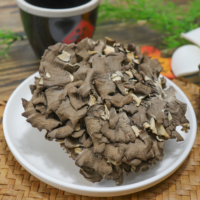 Champignons Maitake Entiers Séchés de Haute Qualité, Champignons Dansants Naturels de Qualité Alimentaire, Approvisionnement en Gros pour Supermarchés