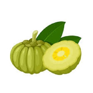 ผงสารสกัดจาก Garcinia cambogia จาก Garcinia cambogia - Product Image 1