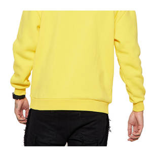 OEM/ODM sweats à capuche souples personnalisés 450 GSM en coton épais pour hommes coupe régulière basique fabricant de sweats à capuche unisexe ensemble d'impression bouffante vierge - Product Image 6