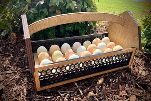 ที่ใส่ไข่แบบพกพาที่มีฝาปิดสามารถล็อคได้ภาชนะจัดเก็บที่ปลอดภัยและเป็นมิตรต่อการเดินทางเป็นที่ต้องการอย่างมาก - Product Image 3