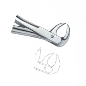 Forceps d'extraction dentaire Fig86 C manuel en acier inoxydable de haute qualité, instruments dentaires certifiés CE, vente chaude, logo personnalisé - Product Image 4