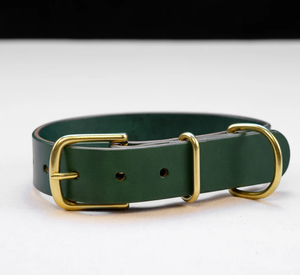 High Quality Green Leather Hound Dog <b>Collar</b> for Greyhound and Whippet - Product Image 2