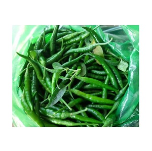Chile Verde Fresco Crudo/Pimiento Verde al Mejor Precio del Mercado del Principal Proveedor de Portugal (20 kg) - Product Image 2