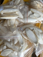 Meilleure vente os de seiche calcium naturel pour oiseaux tortues lapins soin du bec force de la coquille et utilisation artisanale à la main