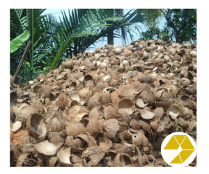 Oferta caliente 100% Cáscara de coco cruda para carbón de calidad premium para manualidades Suministro a granel a tarifas bajas Lista para exportar, lo mejor para la venta - Product Image 1