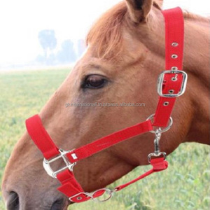 Licou cheval cheval en Nylon, vente en gros, bride en Textile, licou cheval réglable avec accessoires solides en acier inoxydable - Product Image 3
