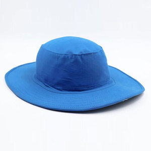 2025 Nuevo estilo Ropa deportiva Sombreros de cricket Cómodo Su propio logotipo Mejor precio Sombreros de cricket para venta en línea - Product Image 5