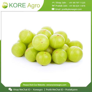 Poudre d'extrait sec d'Amla 100% organique et pur Extrait d'herbes de fruits entiers de qualité alimentaire extrait par solvant pour les acheteurs mondiaux - Product Image 3