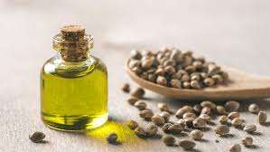 100% Huile de support de graines de brocoli pure Vente en gros Transporteur de graines de brocoli en vrac Huile de graines de brocoli naturelle et pure - Product Image 3