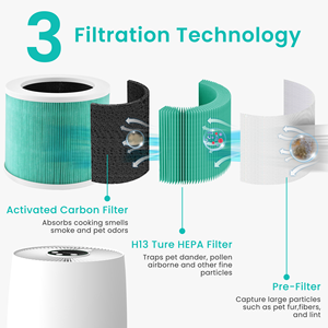 Purificateur d'air HEPA avec filtre à charbon actif Cobectal ZQ2000A pour la maison et l'automobile - Product Image 5