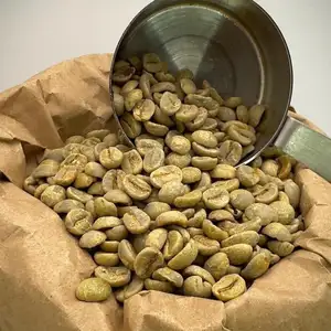 Biji kopi hijau Arabika Brasil Premium 60 KG untuk dijual/beli biji kopi Premium hijau Brasil/Pasokan besar Uni Eropa